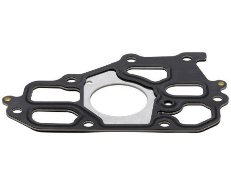Gasket, coolant flange