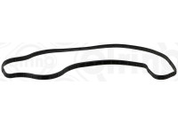 Gasket, coolant flange