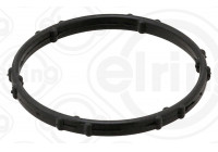 Gasket, coolant flange