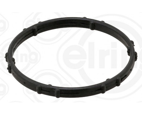 Gasket, coolant flange