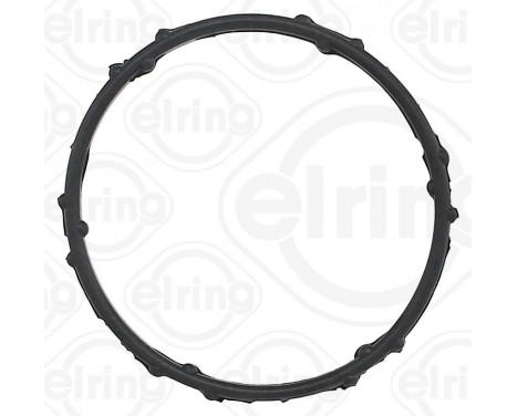 Gasket, coolant flange, Image 2