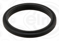 Gasket, coolant flange