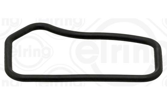 Gasket, coolant flange