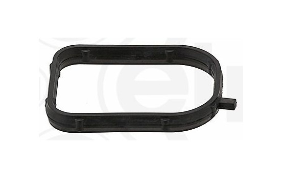 Gasket, coolant flange