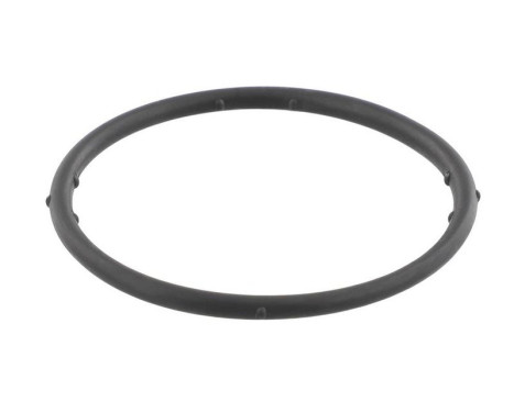 Gasket, coolant flange