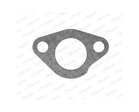 Gasket, thermostat
