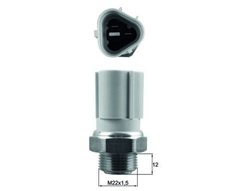 Temperature switch, radiator fan