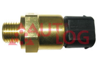 Temperature switch, radiator fan