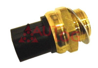 Temperature switch, radiator fan