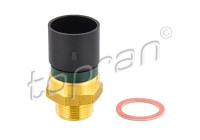 Temperature switch, radiator fan