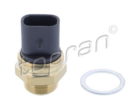 Temperature switch, radiator fan