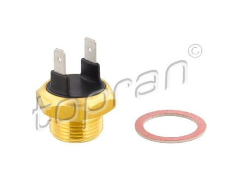 Temperature switch, radiator fan