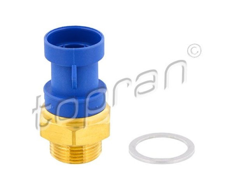 Temperature switch, radiator fan