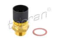 Temperature switch, radiator fan