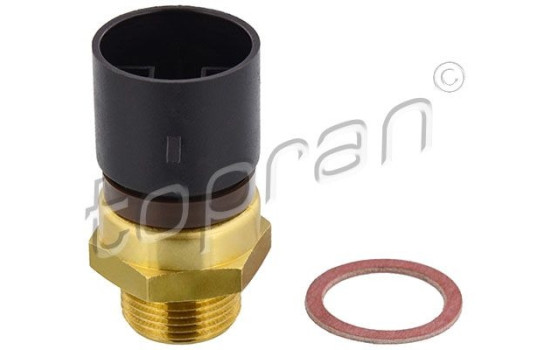 Temperature switch, radiator fan