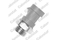 Temperature switch, radiator fan