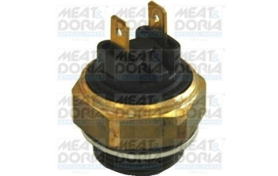 Temperature switch, radiator fan