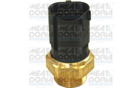 Temperature switch, radiator fan