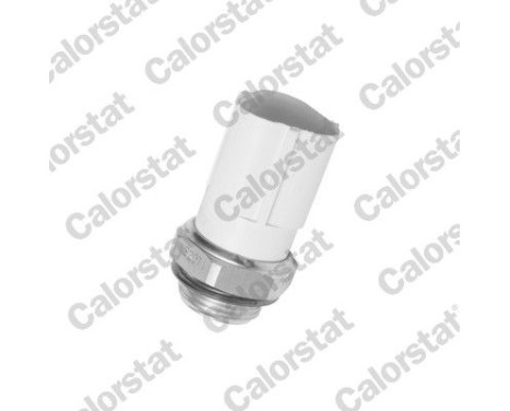 Temperature switch, radiator fan