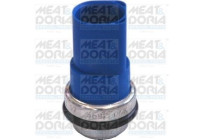 Temperature switch, radiator fan