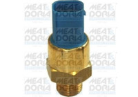 Temperature switch, radiator fan