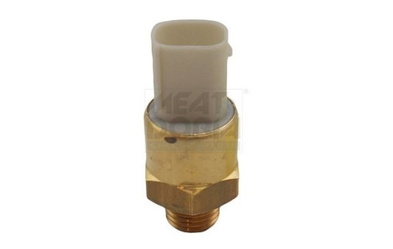 Temperature switch, radiator fan
