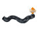 Charge air hose, Thumbnail 4