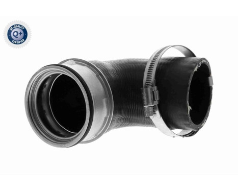 Charger Air Hose Q+, original equipment manufacturer quality