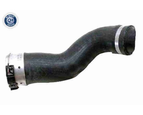 Charger Air Hose Q+, original equipment manufacturer quality