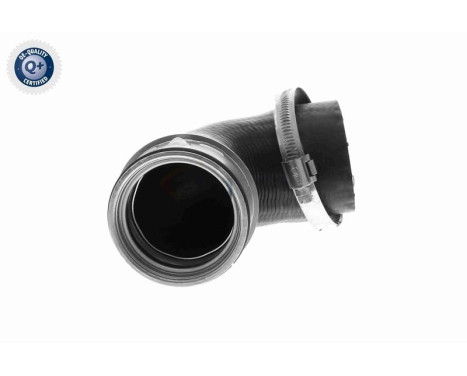 Charger Air Hose Q+, original equipment manufacturer quality, Image 11