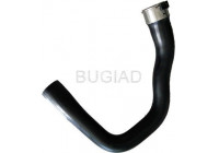 Charger Air Hose