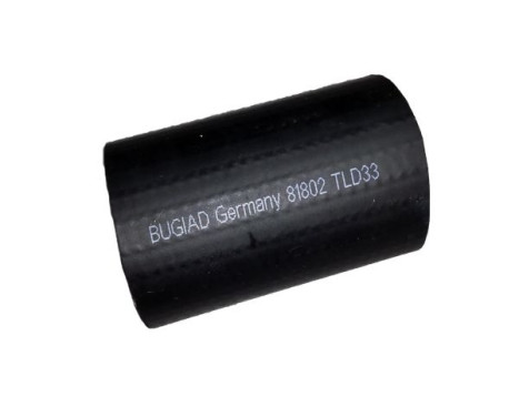 Charger Air Hose