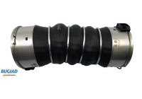 Charger Air Hose