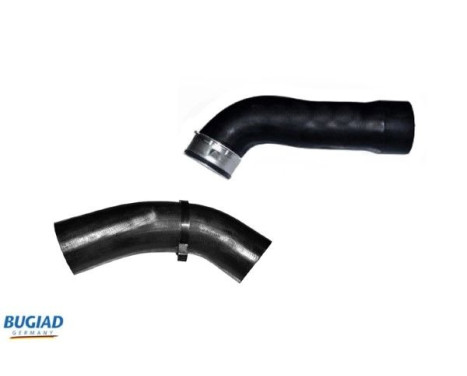 Charger Air Hose