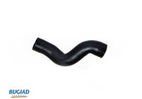 Charger Air Hose