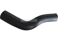 Charger Air Hose
