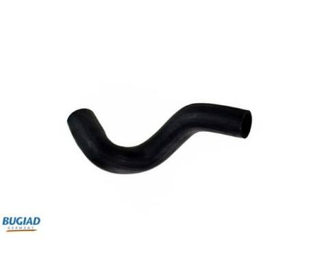 Charger Air Hose