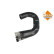 Charging air hose, Thumbnail 2