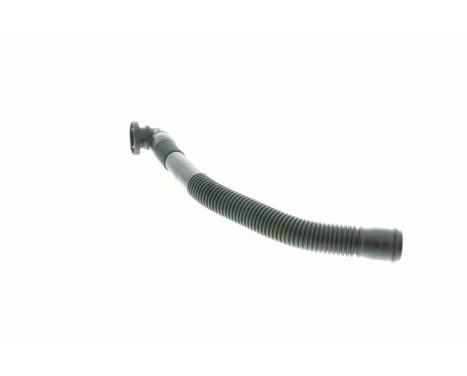 Hose, air supply Original VAICO Quality, Image 3