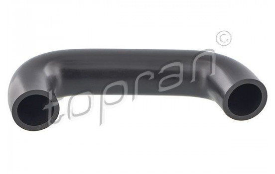 Hose, cylinder head cover breather