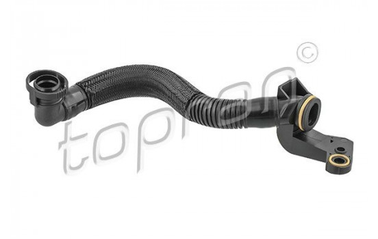 Hose, cylinder head cover breather