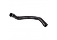 Radiator Hose 174412 FEBI