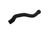 Radiator Hose 37718 FEBI