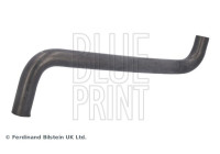 Radiator hose ADBP930019 Blue Print