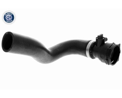 Radiator Hose Original VAICO Quality