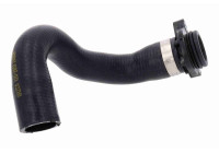 Radiator Hose Original VAICO Quality