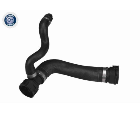 Radiator Hose Q+, original equipment manufacturer quality