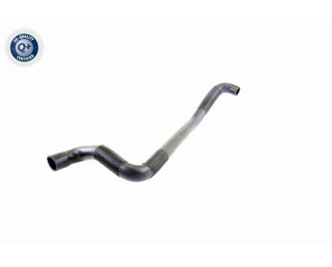 Radiator Hose Q+, original equipment manufacturer quality, Image 7