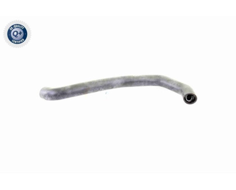 Radiator Hose Q+, original equipment manufacturer quality, Image 4