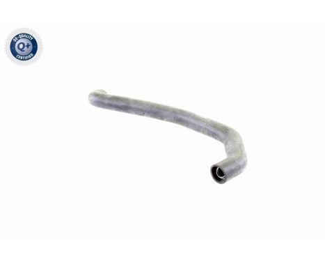 Radiator Hose Q+, original equipment manufacturer quality, Image 5